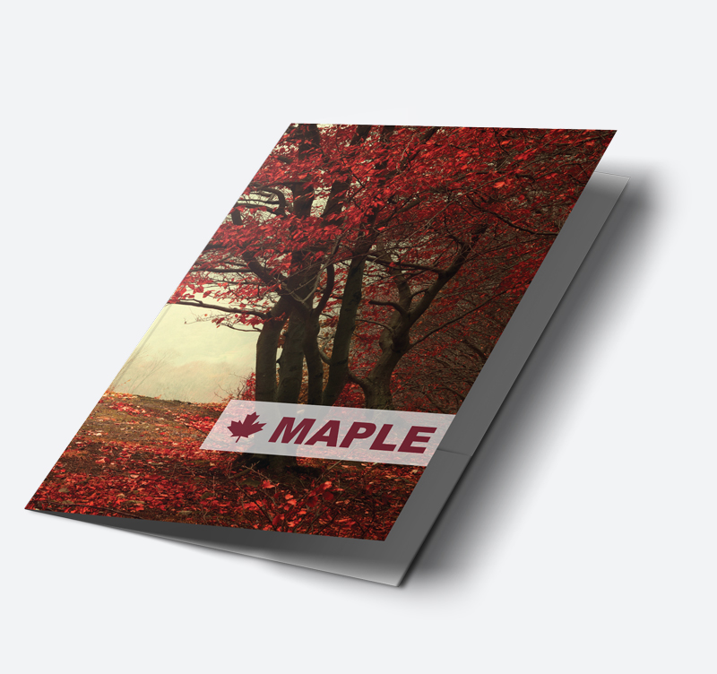 Presentation Folders