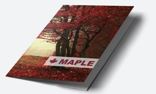 A4 single sided folders